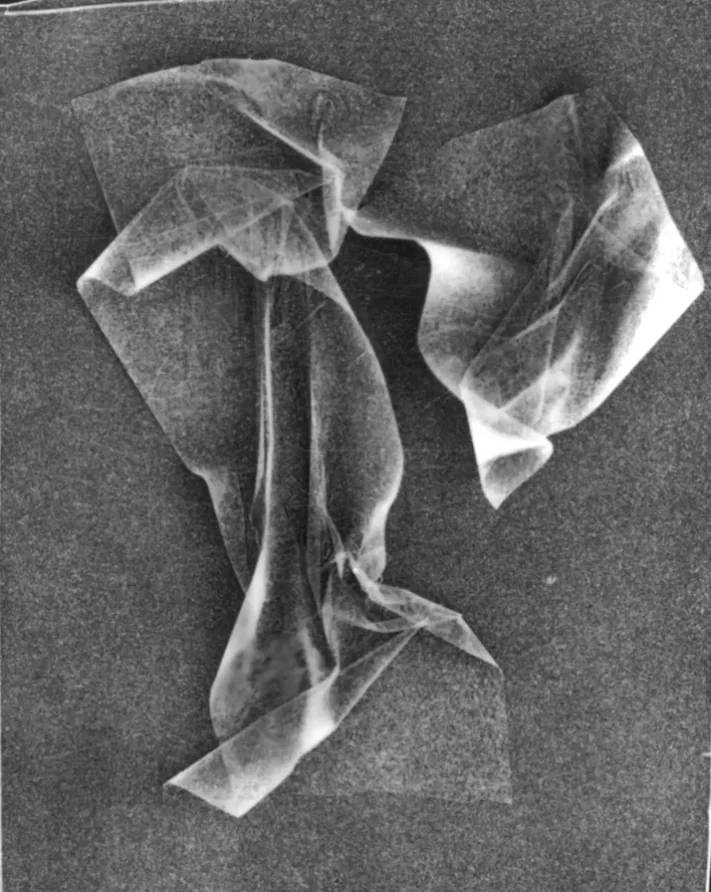 Abstrakcyjna czarno-biała forma