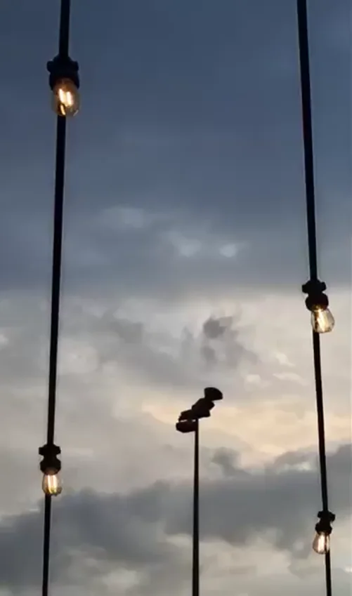 Fotografia z wiszącymi lampami na tle nieba